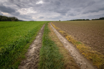 Fototapeta na wymiar Typical sand road thourgh the Belgian fields in the Ardenne