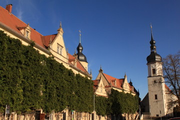 Fototapeta na wymiar Riesa; Rathaus und Klosterkirche