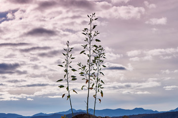 Paisajes durante el atardecer en Oaxaca