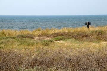 Obraz premium People walking in the dunes