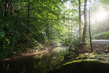 Water stream in the small village in nature. Czech Republic