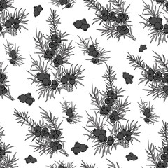 juniper. berries and branches. pattern with plants. evergreen. pattern with juniper. Use for background, wallpaper, cards, invitations, fabric.