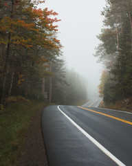 foggy fall roadscape #3