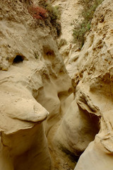 Ho Chi Minh Trail in Torry Pines State Park, San Diego, California.