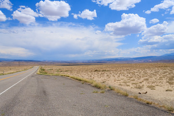 Road in perspective, Colorado highway, United States of America