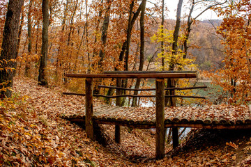 Small bridge made of wood in the forest. Sunset, autumn, lake Sumarice near the Kragujevac