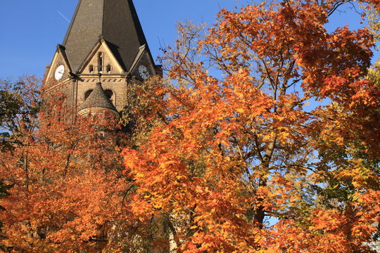Herbst in Riesa; Durchblick zur Trinitatiskirche