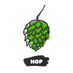 Vector illustration of hand drawing hop on white background.