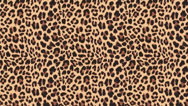 Close up, slow motion of moving leopard hair. Seamless loopable animationof beautiful exotic animal pattern. Abstract natural background. African wild cat fur.