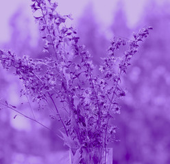 A bouquet of summer flowers in a glass vase on a natural photo blurred background.