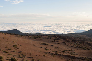 Fototapeta na wymiar On the island of Tenerife / На острове Тенерифе