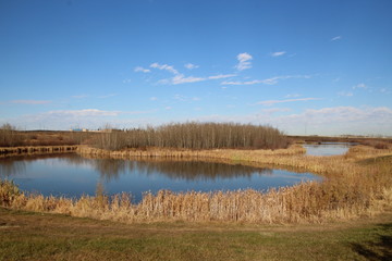 Fulton Creek Marshland, Edmonton, Alberta