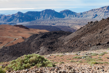 На острове Тенерифе / On the island of Tenerife