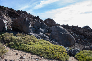 На острове Тенерифе / On the island of Tenerife