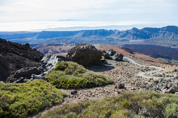 На острове Тенерифе / On the island of Tenerife