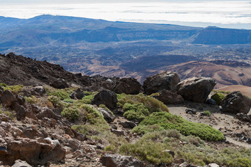 Fototapeta premium На острове Тенерифе / On the island of Tenerife