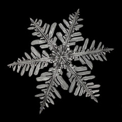 Extreme magnification - Real snowflake isolated on black background