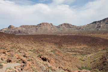 Fototapeta na wymiar На острове Тенерифе / On the island of Tenerife