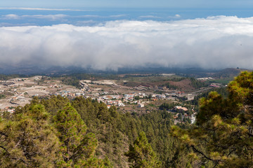 На острове Тенерифе / On the island of Tenerife