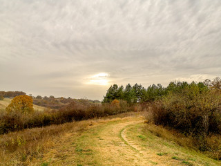 Beautiful forest in autumn with amazing colors, cloudy, sunset. Near the Kragujevac city in Serbia by the Sumarice lake