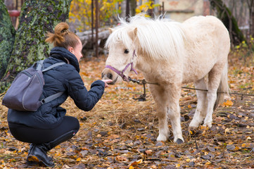 Girl talking to pony holding out her hand.