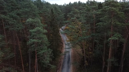 forest autumn summer blue sky clouds water road nature © DEM