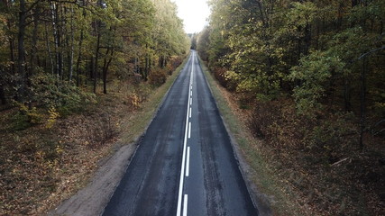 forest autumn summer blue sky clouds water road nature © DEM