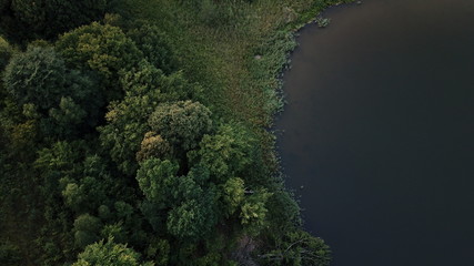 forest autumn blue sky clouds water road © DEM