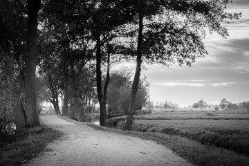 Black and White sunset between the meadows in the Netherlands
