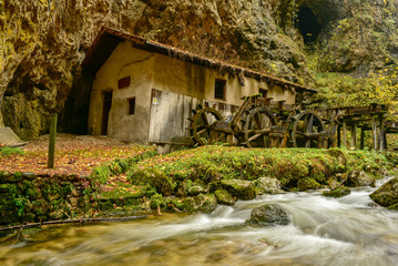 acqua, lago, natura, alberi, autunnale, foresta, fiume, paesaggio, verde, autunno, pozze, parco, alberi, ruscello, foglia, all'aperto, giallo, giardino, foglia, bella, fogliame, estate, calmo, scena, 