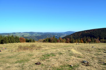 Obraz premium Gipfel des Hinterwaldkopfs im Herbst