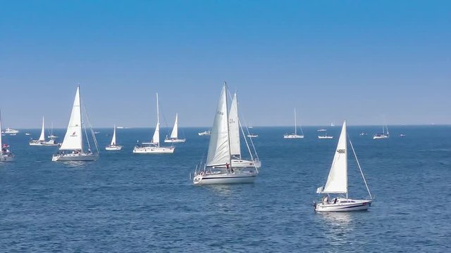 Sailing boat race, Regatta Barcolana, in the Gulf of Trieste, Italy, full HD video