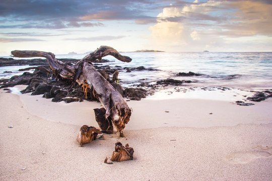 FIJI