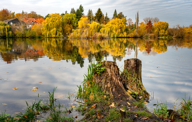 Autumn impressions on a small lake in the north of Berlin, Germany