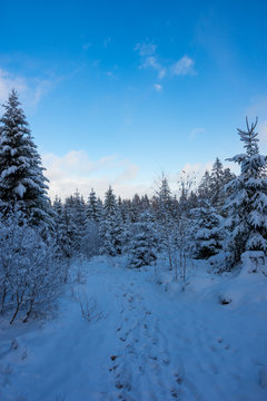 Vier Jahreszeite, Frühling, Sommer, Herbst, Winter