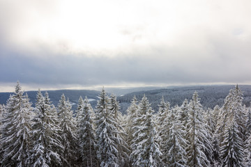 Vier Jahreszeite, Frühling, Sommer, Herbst, Winter