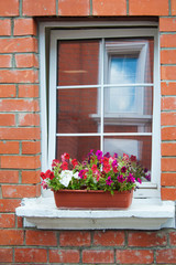 Fototapeta na wymiar Windows with flowers in a flower box. Brick wall