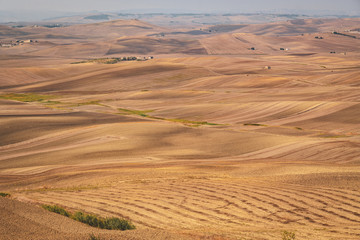 Poggoirsini