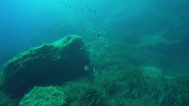 Unterwasserwelt 4