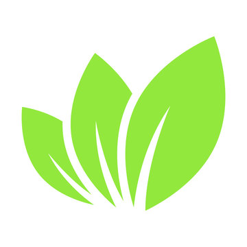Simple, flat, green leaf icon. Three leaves logo. Minimalist design. Isolated on white