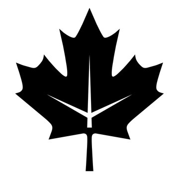 Simple maple leaf icon. Black silhouette design. Isolated on white