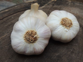 cabe&ccedil;as de alho 