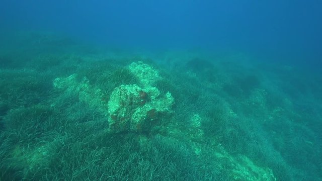 Unterwasserwelt 7