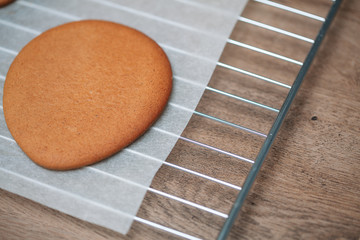 Baking tray with Christmas raw cookies horizontal photo