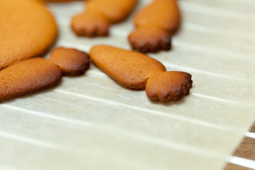 Fototapeta premium close up of female hands making cookies from fresh dough at home