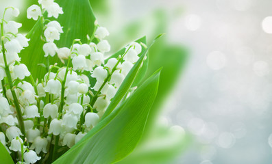 lilly of the valley flowers on gray bokeh banner with copy space