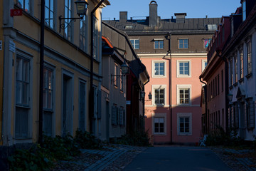 Fototapeta na wymiar Houses and landmarks at Djurgården in Stockholm a sunny autumn morning