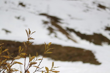 Nufenen, Svizzera, uno sguardo sulle montagne