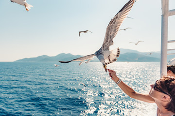 Woman traveling on ferryboat and feeding seagulls
