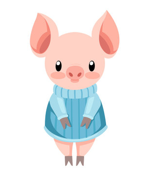 Cute pig in blue sweater. Cartoon character design. Flat little piggy. Vector illustration isolated on white background